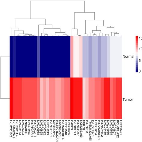 Cluster Heat Map Of Differentially Expressed Lncrna In Cancer Tissues Download Scientific