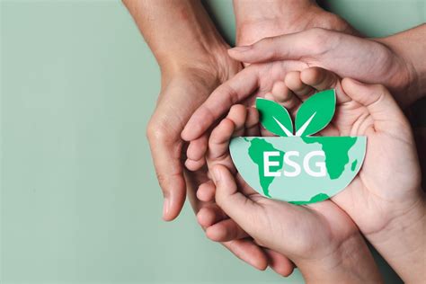 Bilancio ESG e sostenibilità ambientale M W Veronesi e Associati