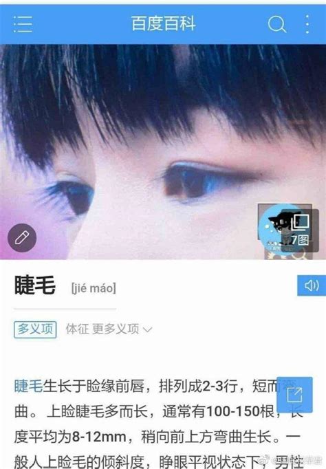 百度百科里对“眼睫毛”和“睫毛”两个词语解释的配图用的都是王俊凯