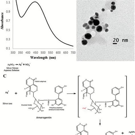 Biosynthesis Of Agnp A Uvvis Spectrophometric Analysis Of Bio Agnp