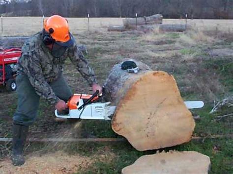 2010 Stihl MS 880 With 41 Inch Bar YouTube