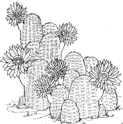 Desert Plants Coloring Pages