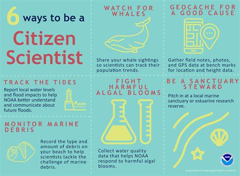 Arriba 47 Imagen What Is Citizen Science Abzlocal Mx