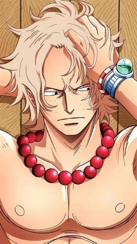 Ace With Rouges Hair Color One Piece Ace Manga Anime One Piece One