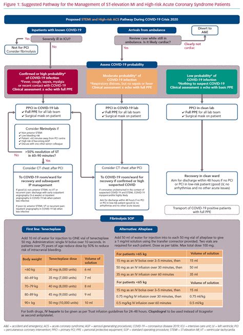 Acs Guidelines 2024 Terry Georgina