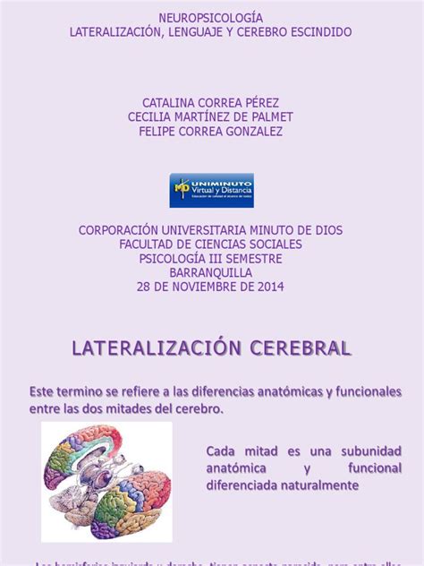 Lateralización Lenguaje Y Cerebro Escindido Descargar Gratis Pdf