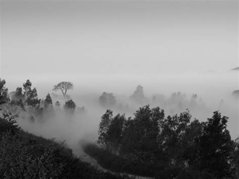 Top 7 Mind Blowing Places To Visit In Araku Valley