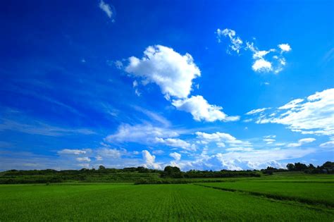 夏の青空と田園｜plus＋