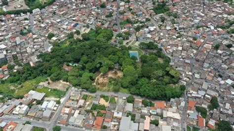 Moradores De Betim Denunciam Desmatamento De Parque Que Cidades