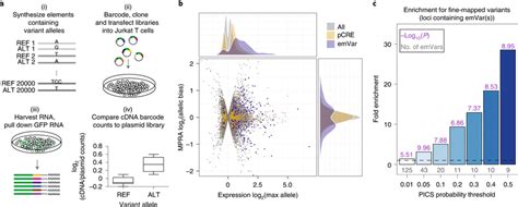 Prioritizing Gwas Variants Using High Throughput Reporter Assays In