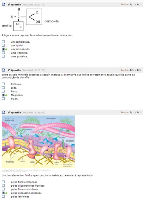 A Imagem A Seguir Representa A Estrutura Molecular Várias Estruturas