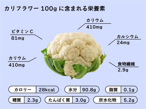 カリフラワーは生食できる？メリットと注意点、調理のポイントを解説 Fily〔フィリー〕