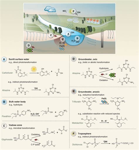 Evaluating Pesticide Degradation In The Environment Blind Spots And