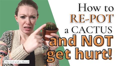 Don T Get Pricked Learn How To Repot A Cactus Easy Safe YouTube