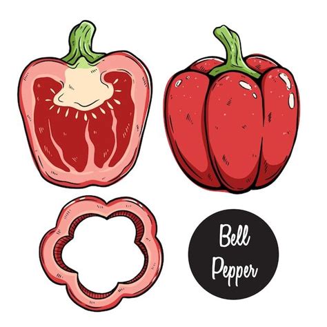 Conjunto De Pimiento Con Dibujo A Mano D Premium Vector Freepik