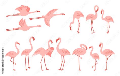 Flamingo Flying Clip Art