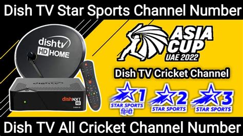 Dish Tv Star Sports Channel Number Dish Tv Cricket Channel Number