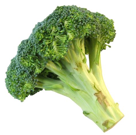 Broccoli Png Transparent Image Download Size 1272x1256px