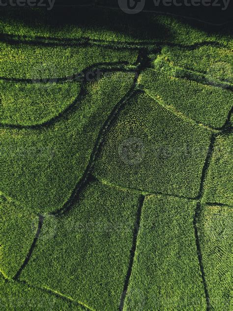 Landscape Paddy rice field in Asia, aerial view 3357647 Stock Photo at ...