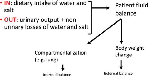 Management Of Congestion And Diuretic Resistance In Heart Failure