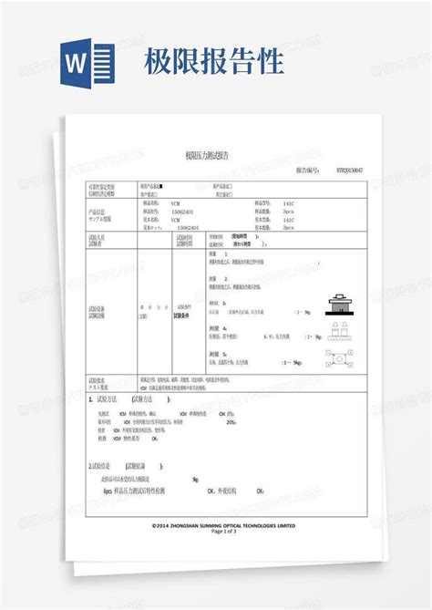 极限压力测试报告 Word模板下载编号lokwozje熊猫办公