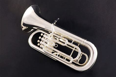 5 Best Euphoniums Reviewed in Detail [Sept. 2024]