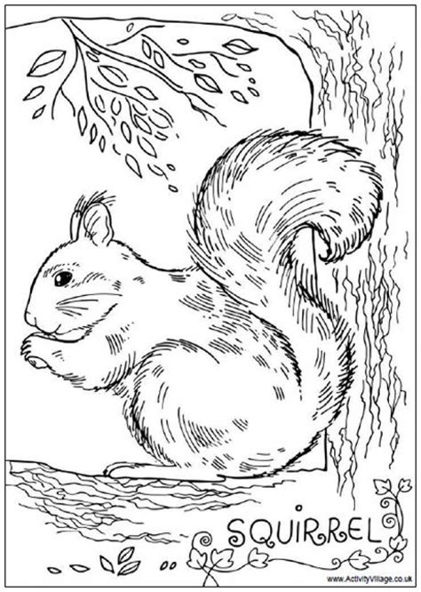 20 Free Printable Squirrel Coloring Pages EverFreeColoring