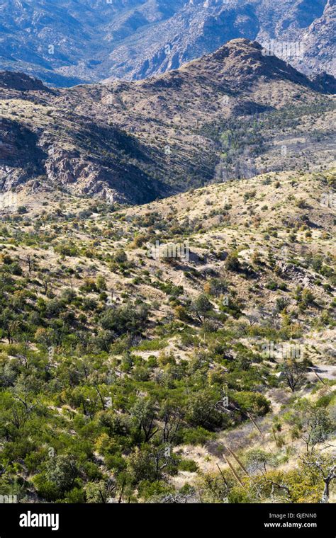 Sycamore Canyon Hi Res Stock Photography And Images Alamy