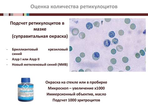 Основные лабораторные показатели оценки эритропоэза, получаемые на ...