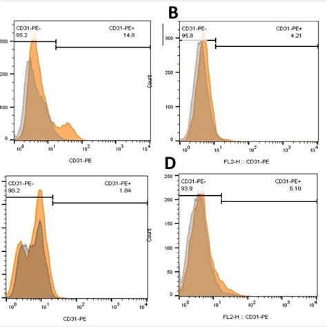 Immunophenotyping Of Fibroblasts And Endothelial Cells For Pecam