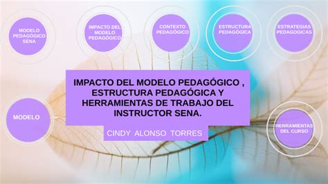 IMPACTO DEL MODELO PEDAGÓGICO ESTRUCTURA PEDAGÓGICA Y HERRAMIENTAS DE