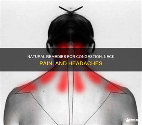 Natural Remedies For Congestion Neck Pain And Headaches Medshun