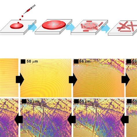 Fig S1 Schematic Diagram A And Optical Microscopy Images B