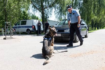 Nekad su bili ljubimci a danas su heroji koji pomažu ljudima 24sata