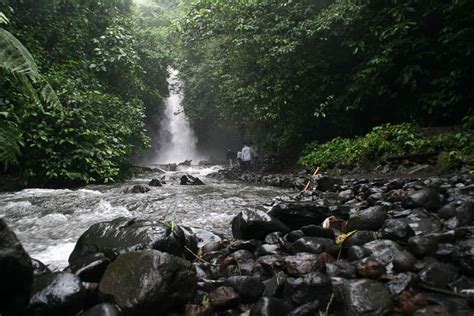 Air Terjun Telunjuk Raung Rute Tiket Masuk Fasilitas Aktivitas