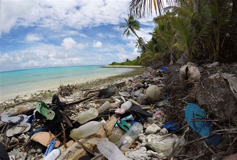 Raccogliere La Spazzatura Sulla Spiaggia