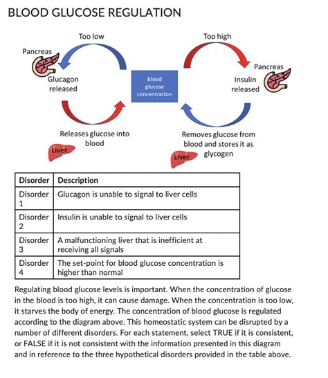 Regulation Of Blood Glucose Concentration