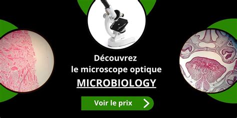 Bien Choisir Son Microscope Notre Guide Complet Microbiology