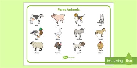 Farm Animals Vocabulary Mat - ESL Farm Vocabulary - Twinkl