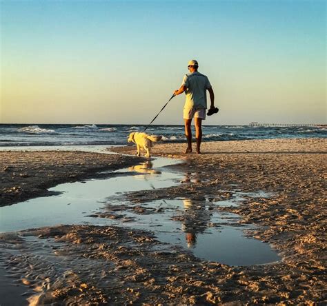 Hombre Con Perro En La Playa Contra El Cielo Foto Premium