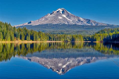 Capa Do Mt Refletida No Lago Trillium Imagem De Stock Imagem De