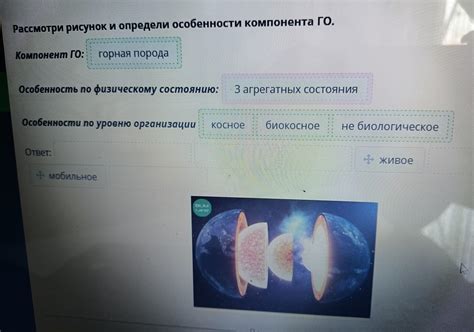 Строение и состав географической оболочки Рассмотри рисунок и определи ...