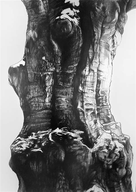 Pin By Ursa Minor On Trees In Art Pencil Charcoal Etchings Etc