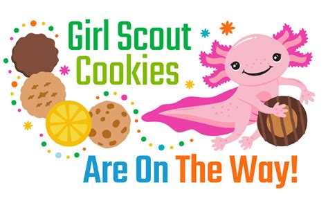 Girl Scout Cookies 2024 Clip Art Photos Sheri Dorolice