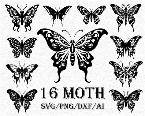 16 Moth SVG Bundle Moths Clipart Moth PNG Moth Line Drawing Cut