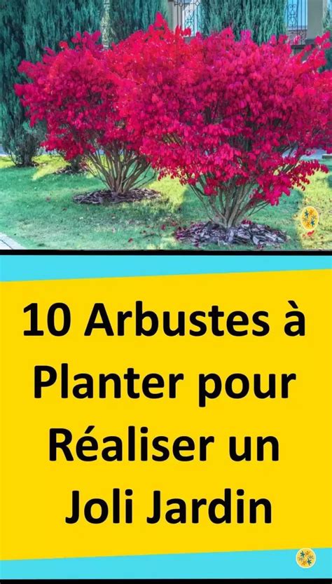 10 Arbustes Que Vous Pouvez Cultiver Dans Votre Jardin DOrnement