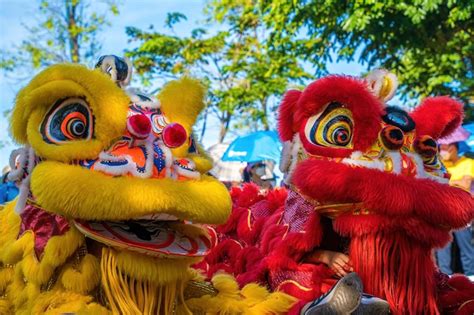 Premium Photo A Head Of Chinese Lion Dance In The Chinese New Year