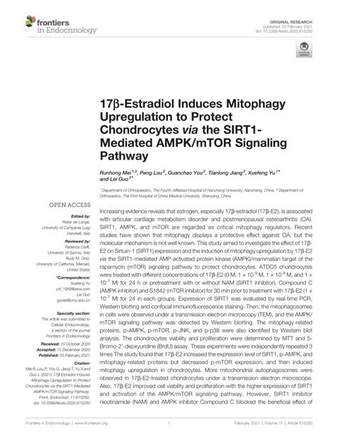 Pdf Estradiol Induces Mitophagy Upregulation To Protect