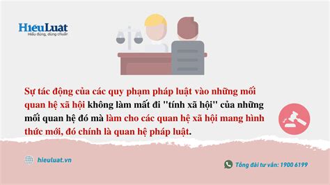 Quan Hệ Pháp Luật Là Gì Được Phân Loại Như Thế Nào