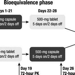 Study design. PK pharmacokinetics | Download Scientific Diagram